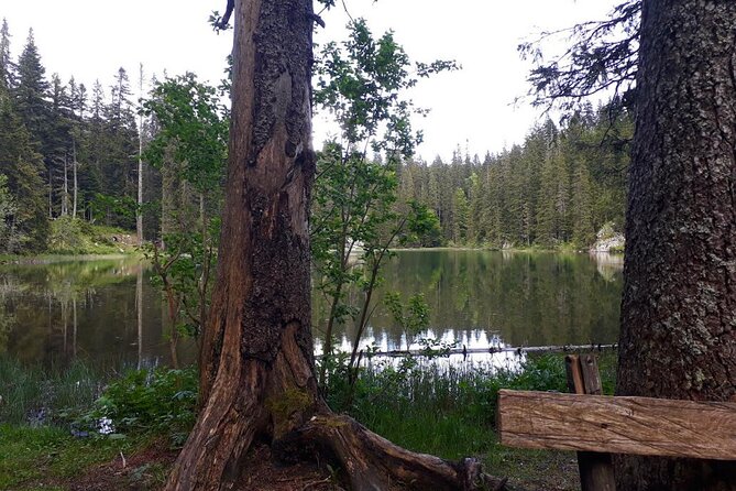 Kotor Tour to Durmitor - Black Lake & Tara River Bridge - Should you take the Tara zip line?