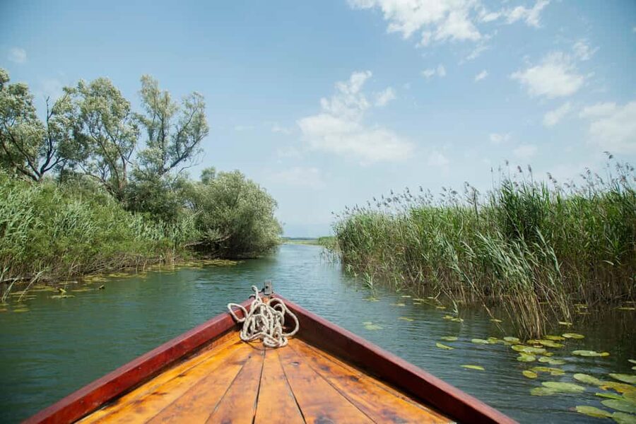 Lake Skadar: Guided Nature Cruise with Drinks - Open water, birdlife, and floating plants