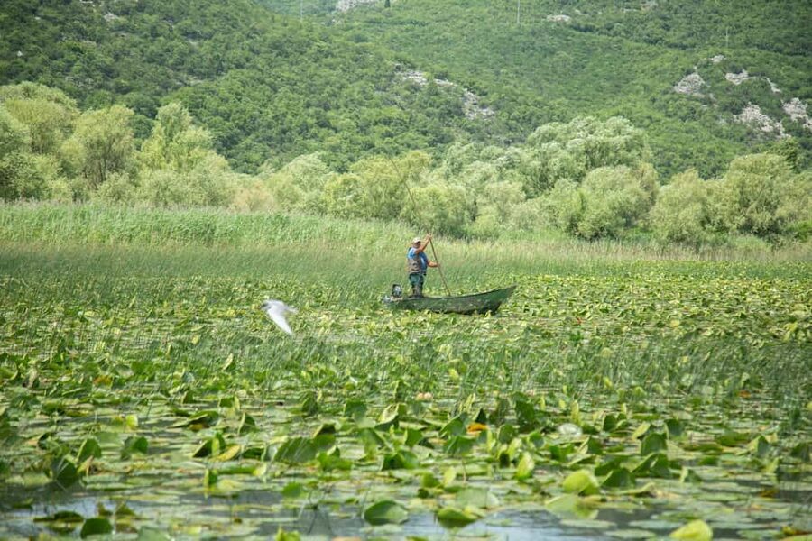 Lake Skadar: Guided Nature Cruise with Drinks - Who should book this Lake Skadar cruise?