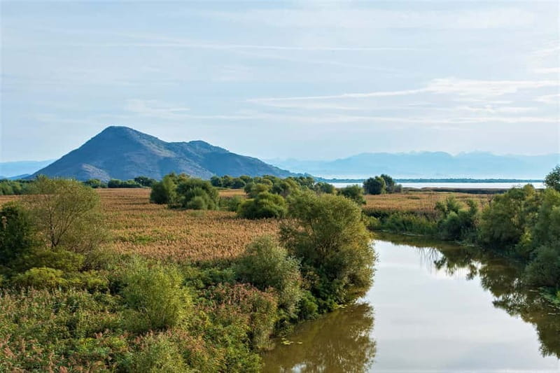 Lake Skadar National Park: Visit the Montenegrin Venice - Reaching the open lake and Lesendro fortress