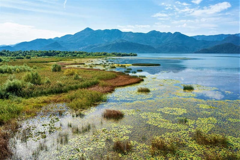 Lake Skadar National Park: Visit the Montenegrin Venice - Water lilies, three islands, and a glass of local wine