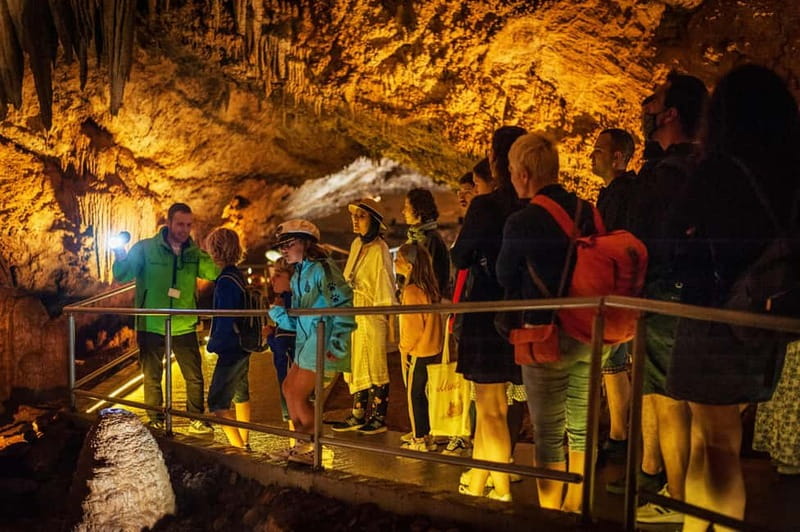 Montenegro: Lipa Cave Guided Tour with Transfer - The short train ride before you walk underground