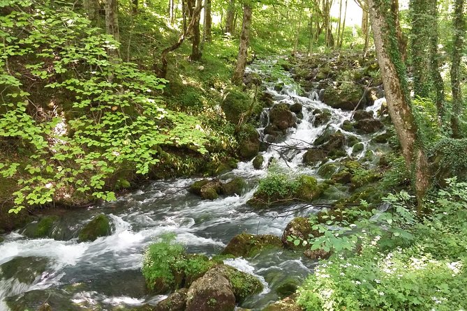 Moraca, Tara & Piva canyons with Durmitor national park - Tara Canyon and the Djurdjevica Tara Bridge