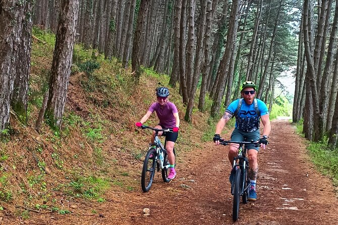 Mountain Biking on Vrmac peninsula - Panoramic view on Kotor bay - Why this Vrmac ride is different from a standard Kotor tour