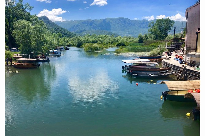 National park Skadar Lake (Private tour) - Leaving Kotor in a private, air-conditioned vehicle
