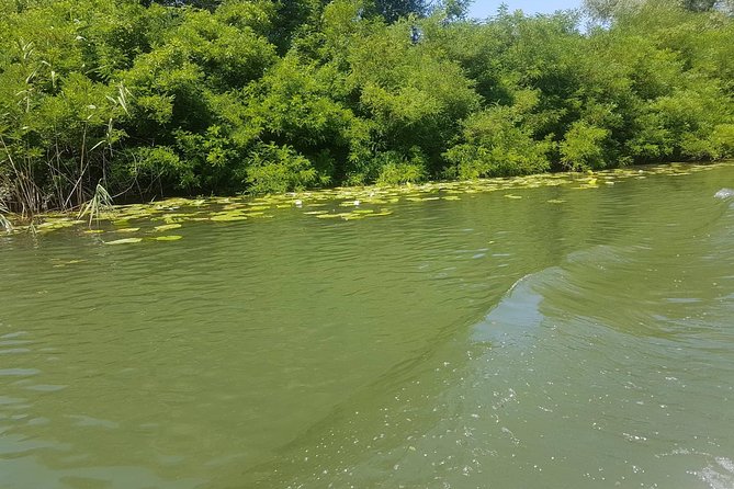 National park Skadar Lake (Private tour) - Who will enjoy this Lake Skadar experience