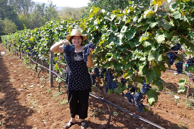 National parks and wine tasting (NP Lovcen, NP Skadar lake, Cetinje, Njegusi) - Rvasji winery and the meal from the garden