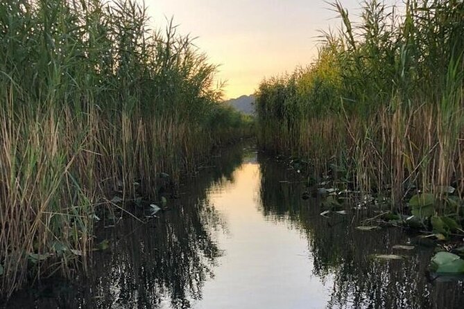 Noah's Ark Skadar Lake Journey - Food, wine, and the value of local hospitality