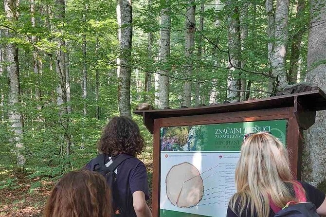 NORTH TOUR Np Biograd Gora-Lake-Moraca Canyon & Monastery-Kolasin - A full northern Montenegro day from Podgorica