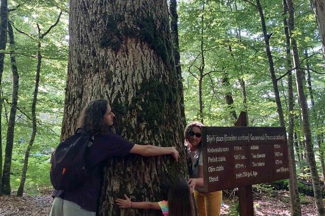 NORTH TOUR Np Biograd Gora-Lake-Moraca Canyon & Monastery-Kolasin - What the guide and private vehicle add