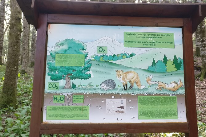 NP Biogradska Gora and Canyon Moraca (Private tour) - Walking around Lake Biograd