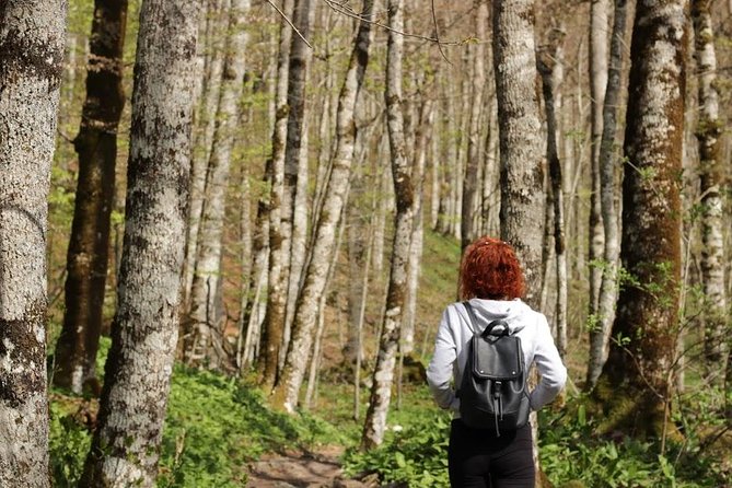NP Biogradska Gora and Canyon Moraca (Private tour) - Who should choose this tour?