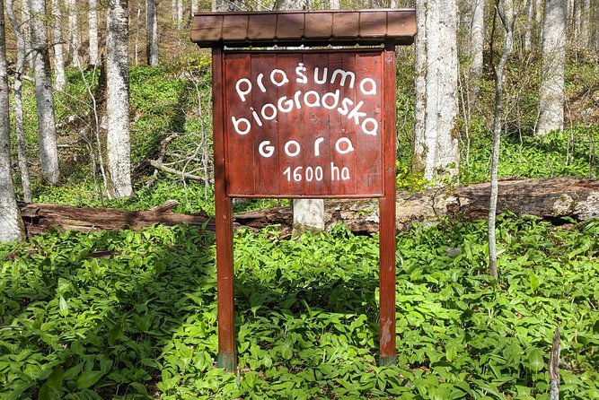 NP Biogradska Gora and Canyon Moraca (Private tour) - The Moraca River Canyon road
