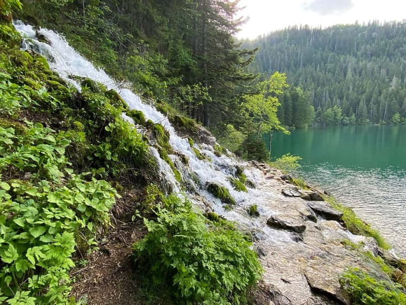 Podgorica: Durmitor National Park- Tara river, bridge & lake - Why this northern Montenegro day trip matters