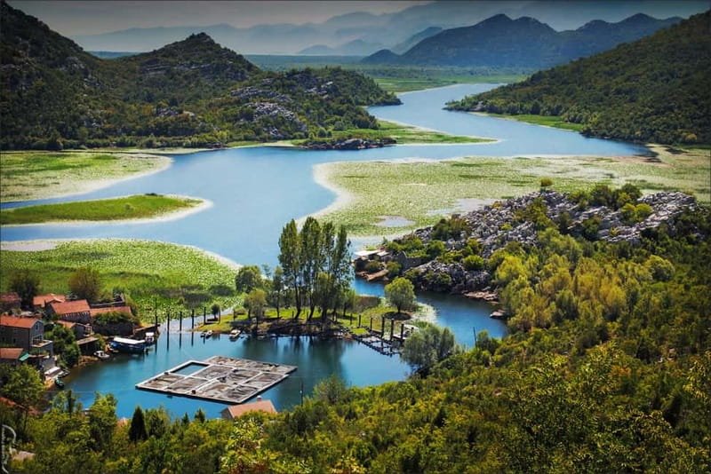 Podgorica Historic, Safari and Winery tour - Skadar lake - Key points to know before booking