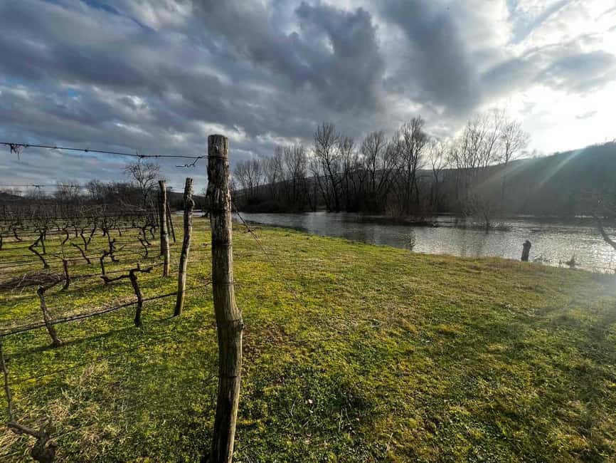 Podgorica: Panoramic Wine Tasting & Snack - A walk beside Matica Creek and Purple Eye Lake