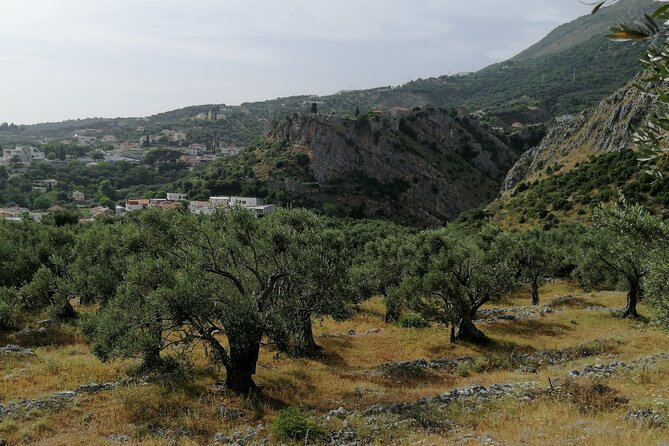 Port of Bar tour - Explore Adriatic area - Bar and Ulcinj tour - Key points to know before you book