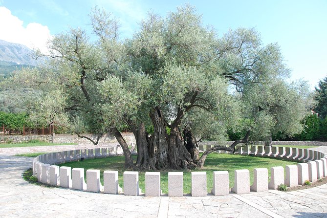 Port of Bar tour - Explore Adriatic area - Bar and Ulcinj tour - Private transport and pickup from five areas