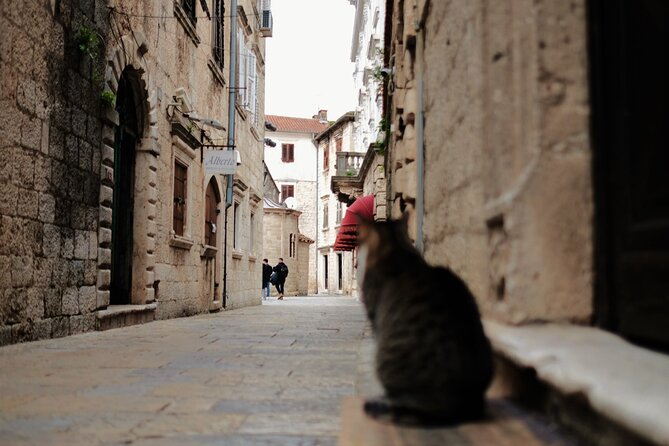 Port of Kotor - Kotor-Perast-Our lady of the rocks private tour - Private touring, standard sedan, and group value