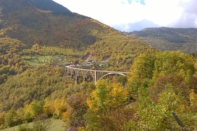 Private Full-Day Tour in Moraca and Tara Canyons, Durmitor & Biogradska Gora NP - Why this private Podgorica tour works