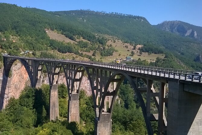 Private Full-Day Tour in Moraca and Tara Canyons, Durmitor & Biogradska Gora NP - Biogradska Gora: old forest and a calm lake walk