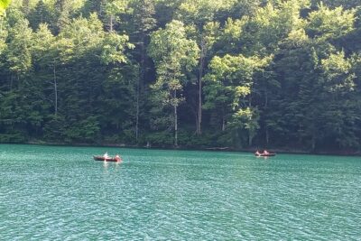 Private Full-Day Tour in Moraca and Tara Canyons, Durmitor & Biogradska Gora NP