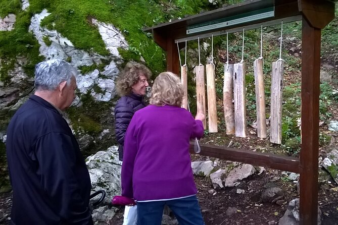 Private Full-Day Tour in Moraca and Tara Canyons, Durmitor & Biogradska Gora NP - Tara Canyon: cold water and an optional zip line