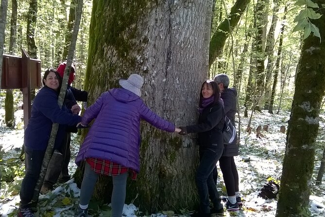 Private Full-Day Tour in Moraca and Tara Canyons, Durmitor & Biogradska Gora NP - The long road is part of the experience