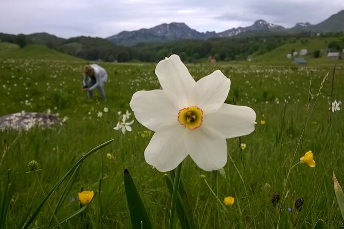 Private Full-Day Tour in Moraca and Tara Canyons, Durmitor & Biogradska Gora NP - Is $185.73 per person good value?
