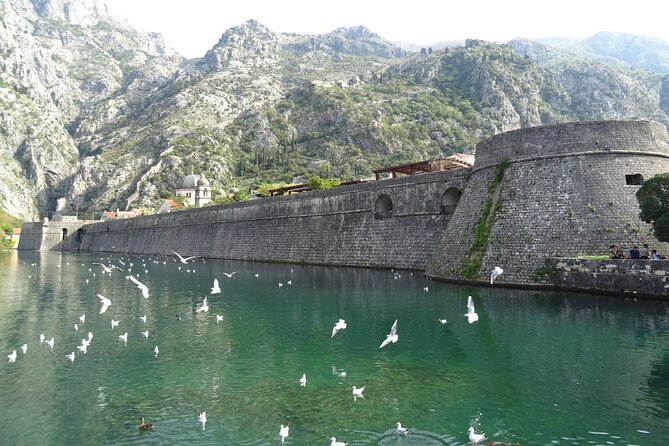 Private Full-Day Tour -Kotor tour, Saint Stefan & NP Skadar Lake - Kotor’s narrow lanes and UNESCO walls