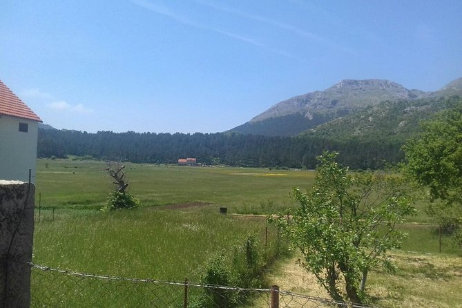 Private National Park Lovcen with food and wine tasting - Best time to go and what to bring
