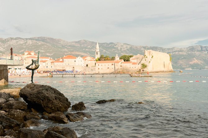 Private Transfer from Tivat airport to Budva or Becici - Vehicle Comfort and Driver Service