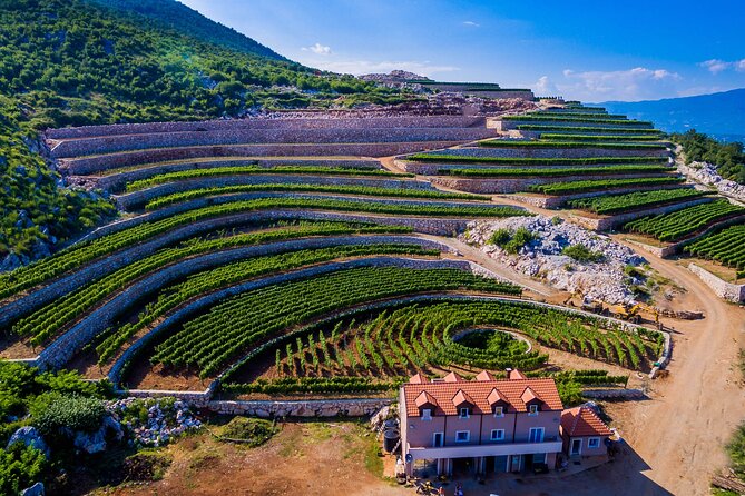 Private Wine Tasting Activity at Lipovac Winery - Key points to know before you go