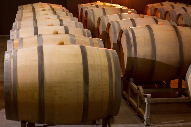 Private Wine Tasting Activity at Lipovac Winery - What the guides add to the visit