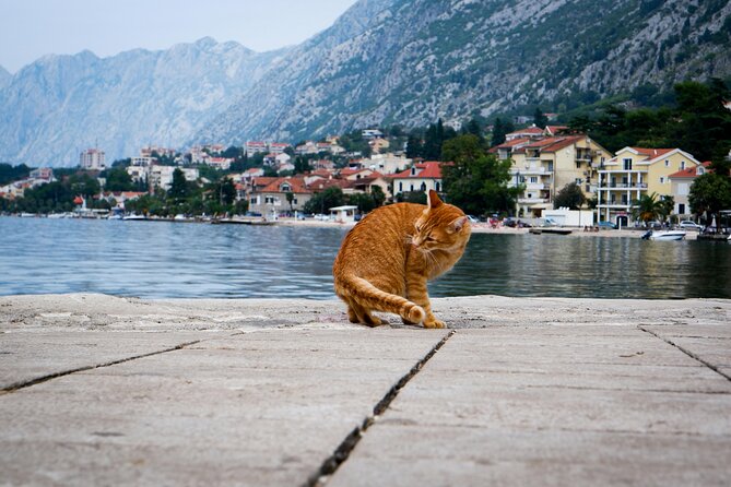 Self Guided Stroll Through Old Town of Kotor - Karampana Well and Kotor’s Noble Palaces