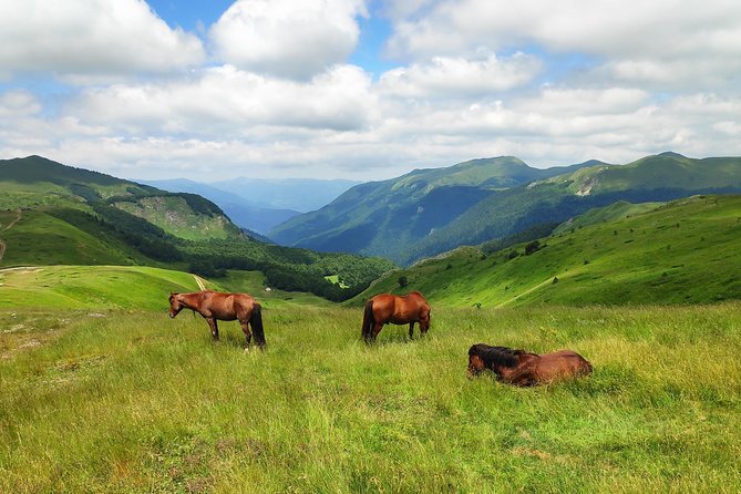 Short Horseback riding - Kolasin - Starting at Sport Turist in Kolašin
