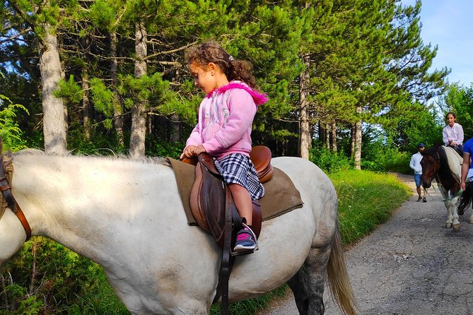 Short Horseback riding - Kolasin - What a One-Hour Ride Really Gives You