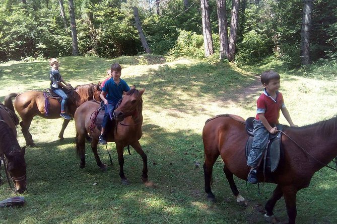 Short Horseback riding - Kolasin - Private Guiding and Group Comfort