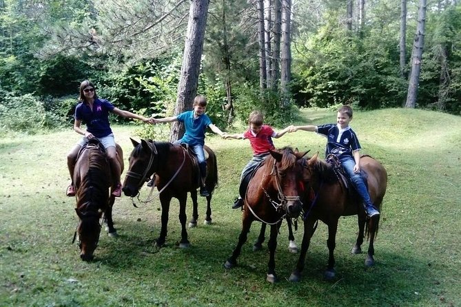 Short Horseback riding - Kolasin - Is $68.26 Good Value?