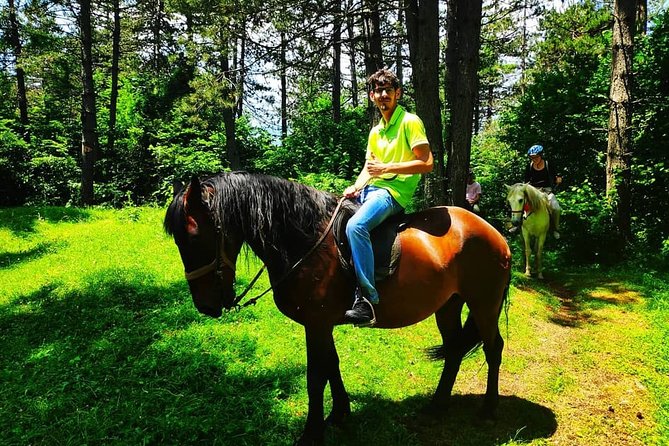 Short Horseback riding - Kolasin - Who Will Enjoy This Ride Most?