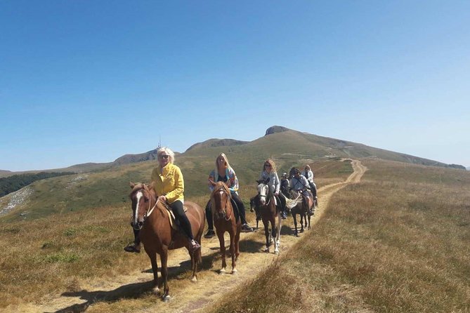 Short Horseback riding - Kolasin - From the Village Into the Mountain Forest