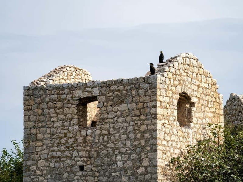 Short Skadar Lake Boat Tour to Morača River with Drinks - Key points about this Lake Skadar boat tour
