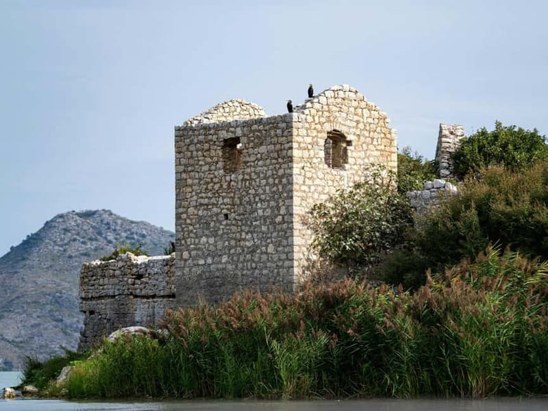 Short Skadar Lake Boat Tour to Morača River with Drinks - Following the Morača River through reeds