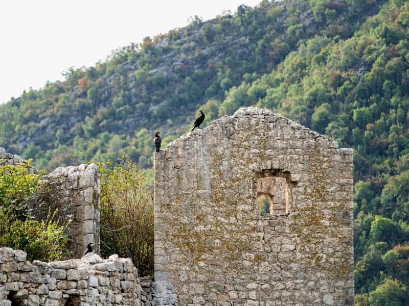 Short Skadar Lake Boat Tour to Morača River with Drinks - Mount Vranjina and the Albanian ranges