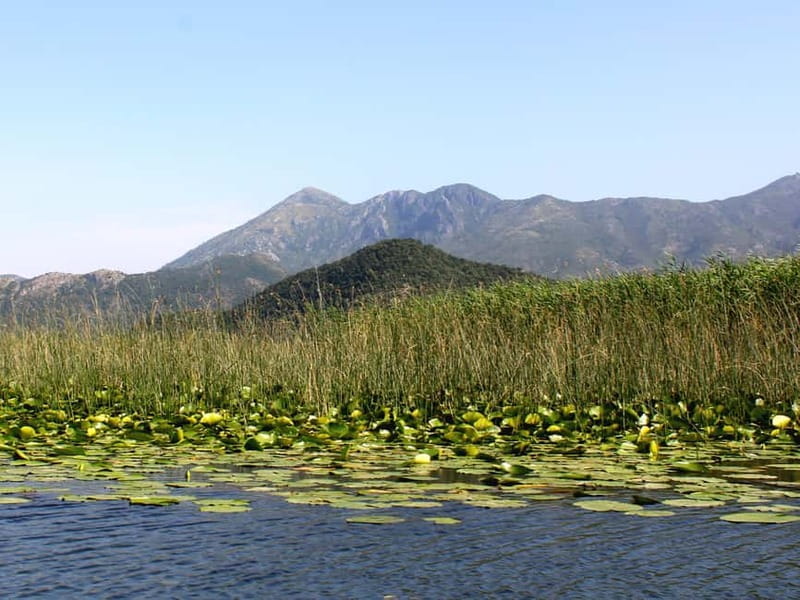 Short Skadar Lake Boat Tour to Morača River with Drinks - Seeing Lesendro Fortress from the water