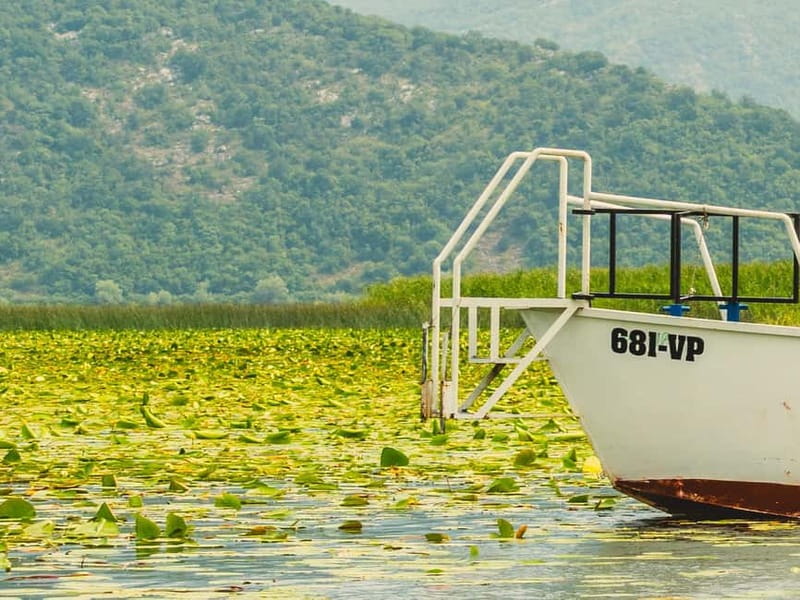 Short Skadar Lake Boat Tour to Morača River with Drinks - A 10-minute swim in the open lake