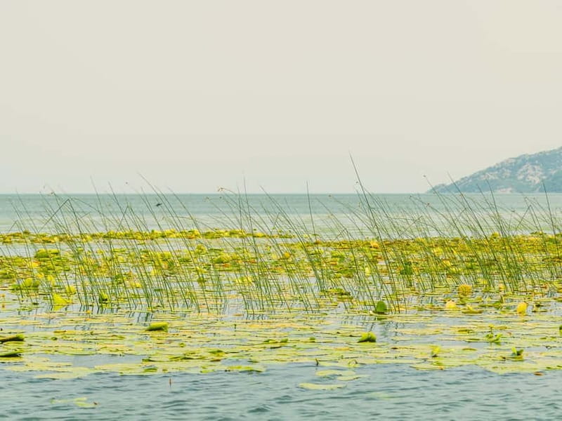 Short Skadar Lake Boat Tour to Morača River with Drinks - Is $20 good value for 90 minutes?