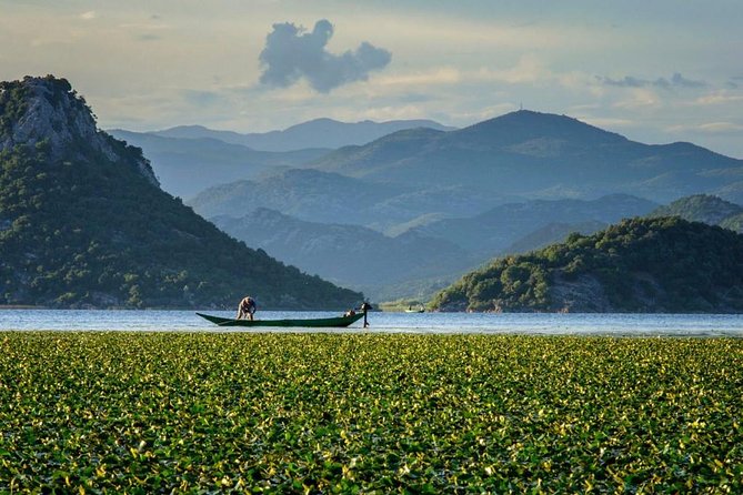 Skadar lake boat ride through "Montenegrin Amazon", wine tasting & Niagara falls - Key points to know before booking