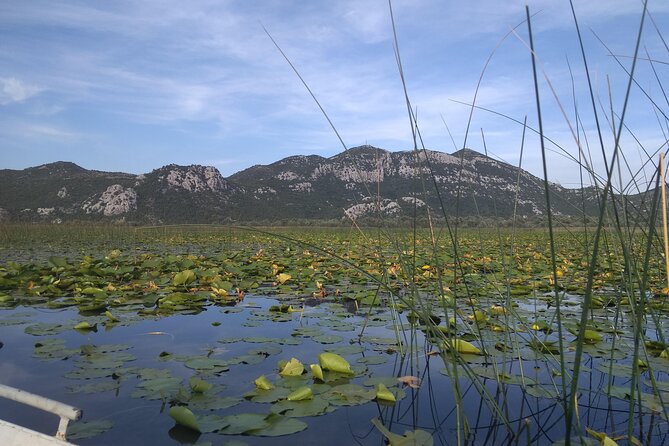 Skadar lake boat ride through "Montenegrin Amazon", wine tasting & Niagara falls - A one-hour boat ride through Skadar Lake National Park