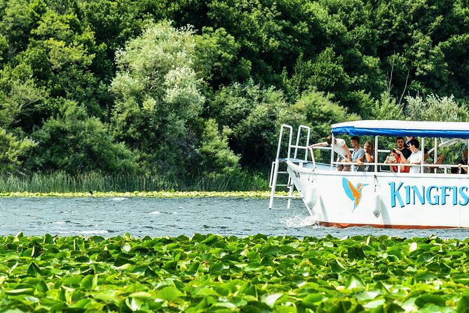 Skadar Lake & Crnojevića River: Swimming, Snacks & Wine - Water lilies in Skadar Lake National Park